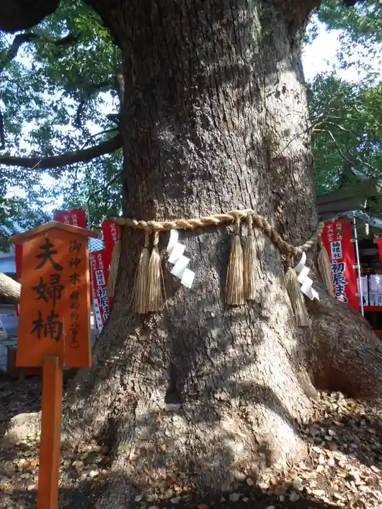住吉大社(大阪府)