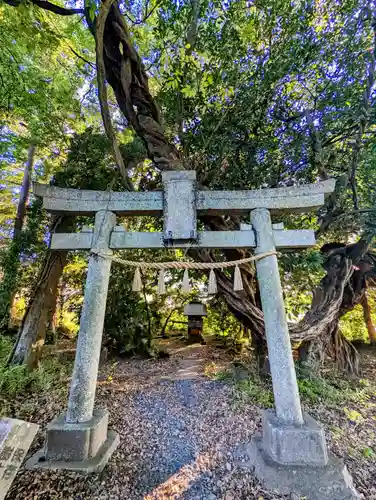 厳島神社(片葉の弁天)の鳥居