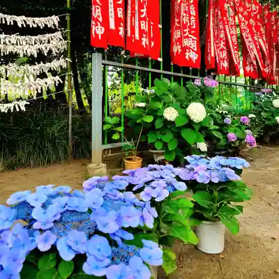 稲荷神社(愛知県)