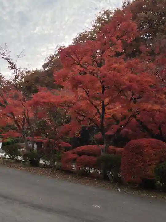 陽林寺(福島県)