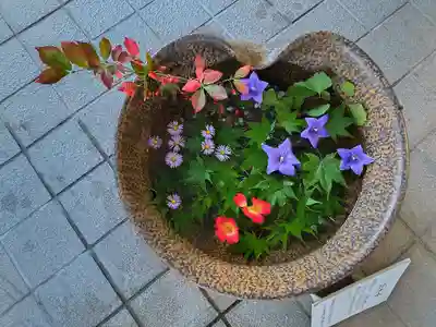 美瑛神社の手水舎