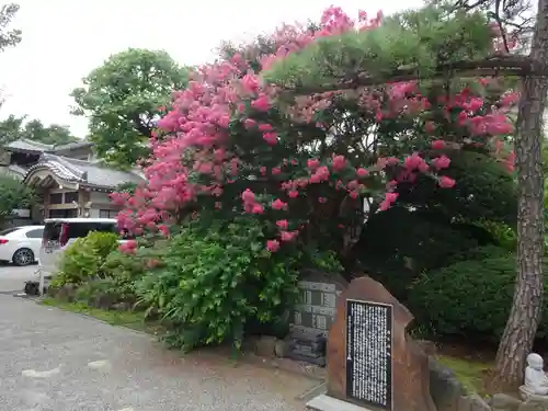 感通寺の庭園