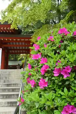 香取神宮(千葉県)