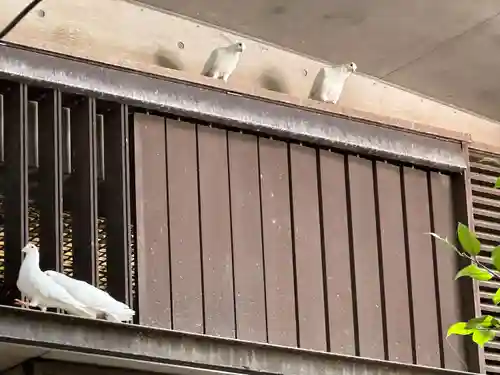 靖國神社(東京都)