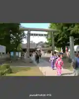 浅草神社の鳥居
