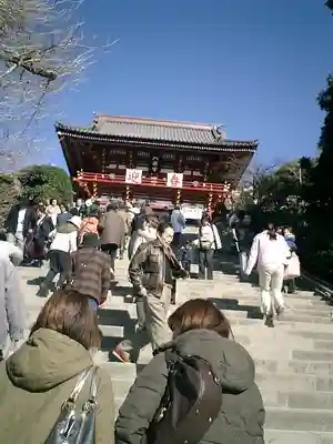 鶴岡八幡宮(神奈川県)