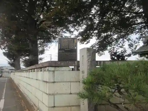 梅岩寺(東京都)