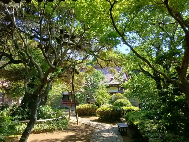 高根寺(千葉県)