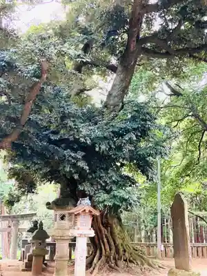雨引千勝神社(茨城県)