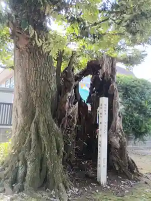 香取神社(茨城県)