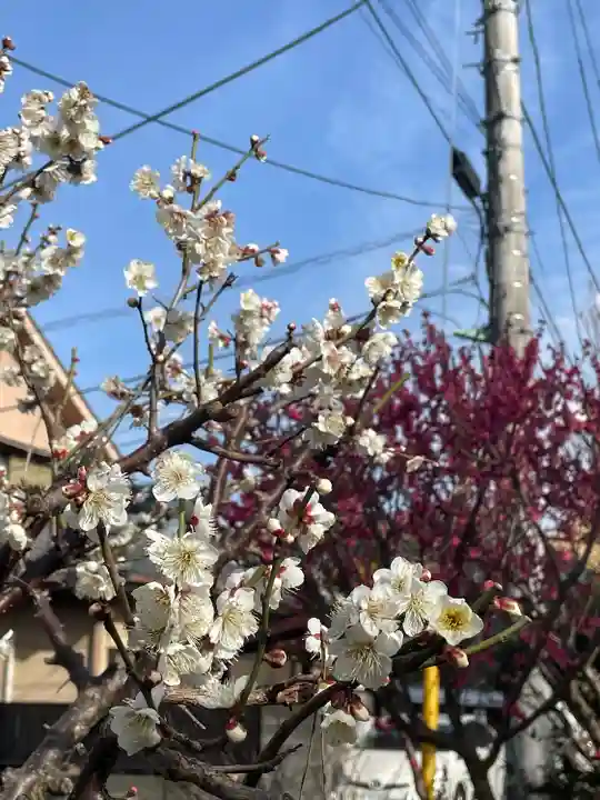 田端神社(東京都)