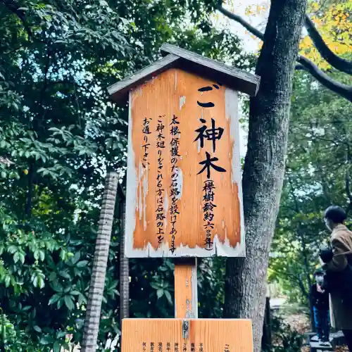 川越氷川神社(埼玉県)