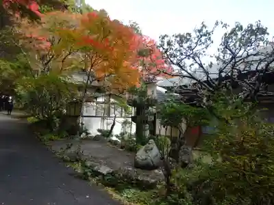 長安寺の自然