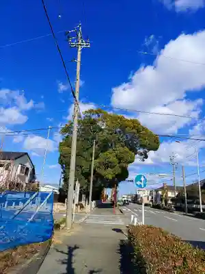 白山神社の自然