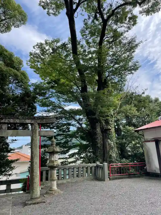 産土八幡神社(神奈川県)