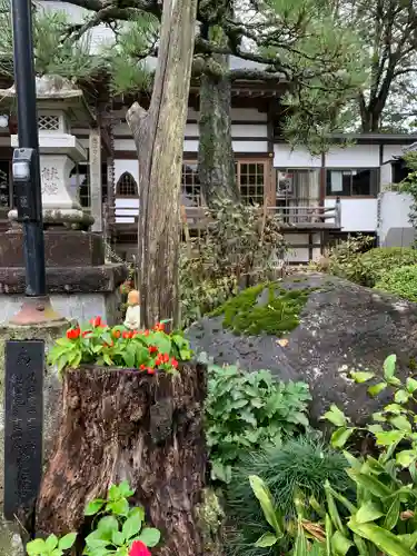 長泉寺の庭園