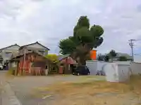 白山社(砂子白山社)の自然