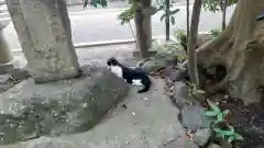 鎭國守國神社(三重県)