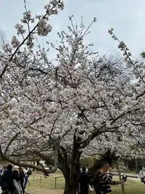 興福寺 南円堂(奈良県)