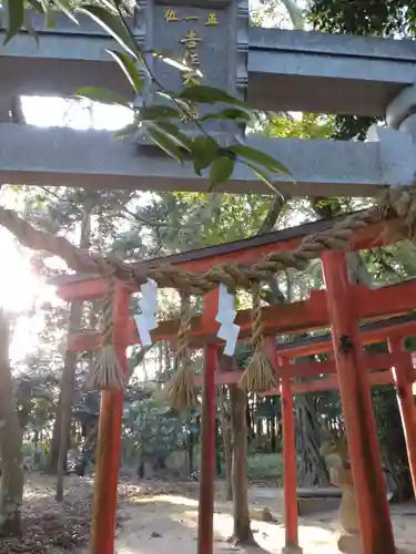 奥石神社の鳥居
