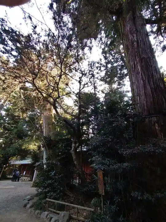香取神宮(千葉県)