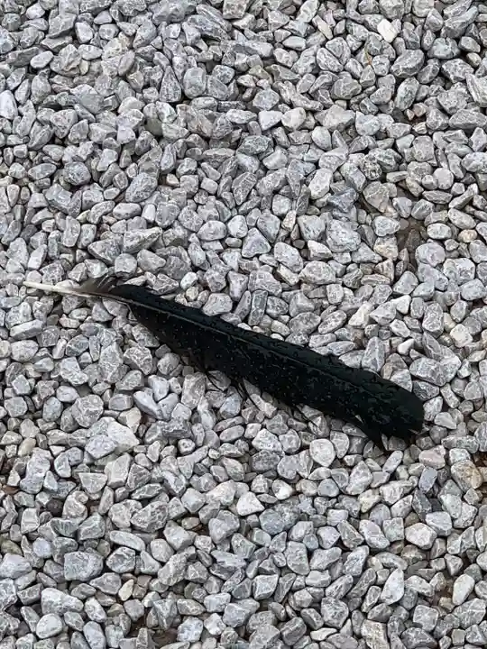 師岡熊野神社(神奈川県)