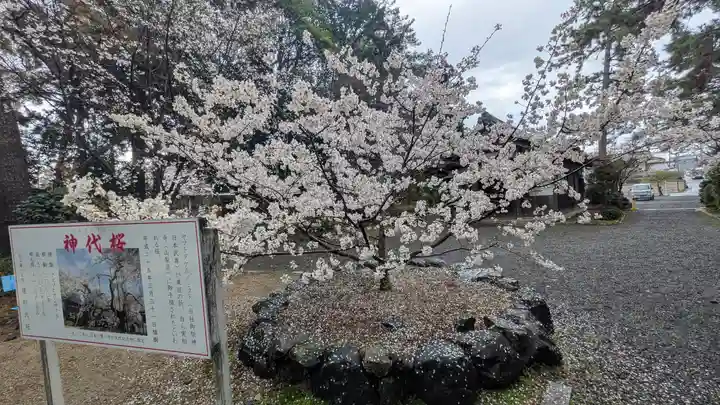 建部大社(滋賀県)