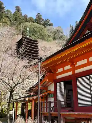 談山神社(奈良県)
