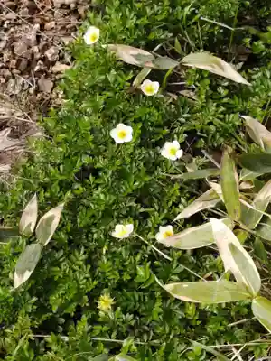 飯森神社奥社(長野県)