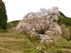 仏隆寺(奈良県)