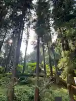 大宮温泉神社の周辺