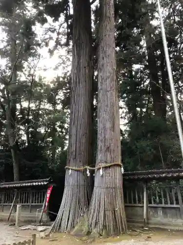 伊和神社のその他建物