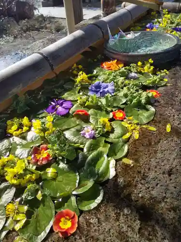 犀川神社の手水舎