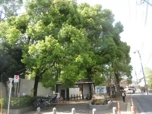 天沼八幡神社(東京都)