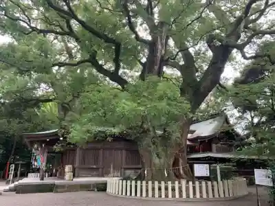 春日神社(宮崎県)