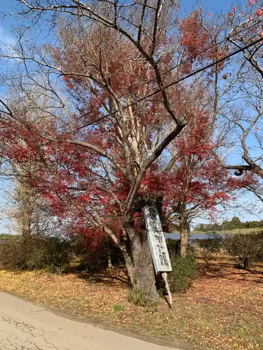 落文神社跡(千葉県)
