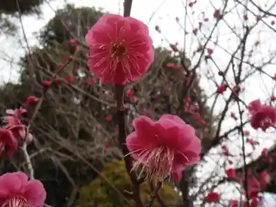 常陸第三宮 吉田神社(茨城県)
