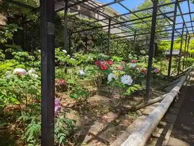 乙訓寺(京都府)