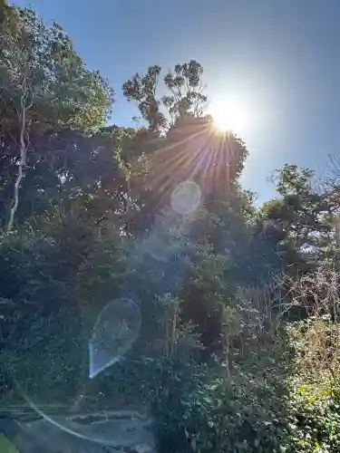 洲崎神社の{uncategorized: "未分類", other: "その他", undefined: "問題あり", building: "その他建物", grave: "お墓", sacred_gate: "鳥居", guardian: "狛犬", statue: "像", buddha: "仏像", history: "歴史", nature: "自然", garden: "庭園", animal: "動物", pagoda: "塔", temizu: "手水舎", mountain_gate: "山門・神門", sanctuary: "本殿・本堂", subordinate: "末社・摂社", art: "芸術", scenery: "景色", jizo: "地蔵", ema: "絵馬", goshuin: "御朱印", omikuji: "おみくじ", items: "授与品その他", amulet: "お守り", goshuincho: "御朱印帳", eats: "食事", festival: "お祭り", votive_dance: "神楽", shichigosan: "七五三参", wedding: "結婚式", experience: "体験その他", initially: "初詣", around: "周辺", anti_infection: "感染症対策"}