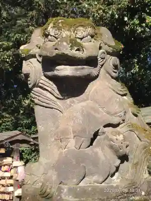 谷保天満宮の狛犬