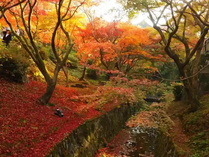 東福禅寺(東福寺)(京都府)