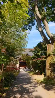 東竹院の本殿・本堂