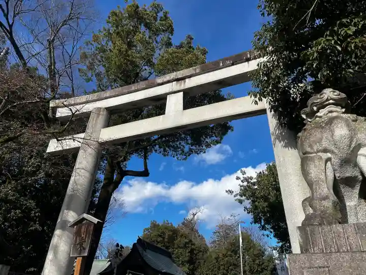 秩父神社の鳥居