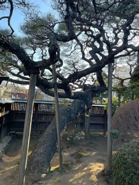 神宮寺の{uncategorized: "未分類", other: "その他", undefined: "問題あり", building: "その他建物", grave: "お墓", sacred_gate: "鳥居", guardian: "狛犬", statue: "像", buddha: "仏像", history: "歴史", nature: "自然", garden: "庭園", animal: "動物", pagoda: "塔", temizu: "手水舎", mountain_gate: "山門・神門", sanctuary: "本殿・本堂", subordinate: "末社・摂社", art: "芸術", scenery: "景色", jizo: "地蔵", ema: "絵馬", goshuin: "御朱印", omikuji: "おみくじ", items: "授与品その他", amulet: "お守り", goshuincho: "御朱印帳", eats: "食事", festival: "お祭り", votive_dance: "神楽", shichigosan: "七五三参", wedding: "結婚式", experience: "体験その他", initially: "初詣", around: "周辺", anti_infection: "感染症対策"}