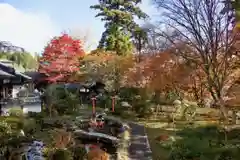 十輪寺の庭園