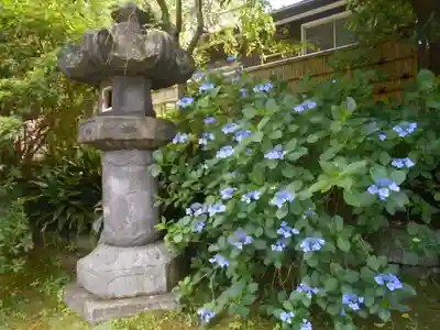 安國論寺（安国論寺）のその他建物