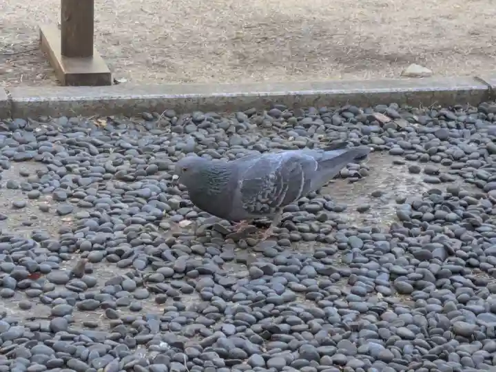 豊川稲荷東京別院(東京都)