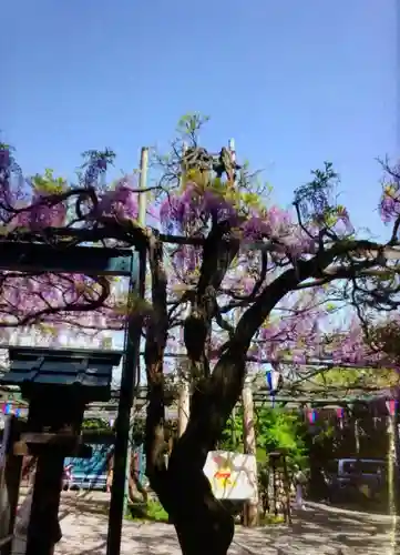 國領神社(東京都)
