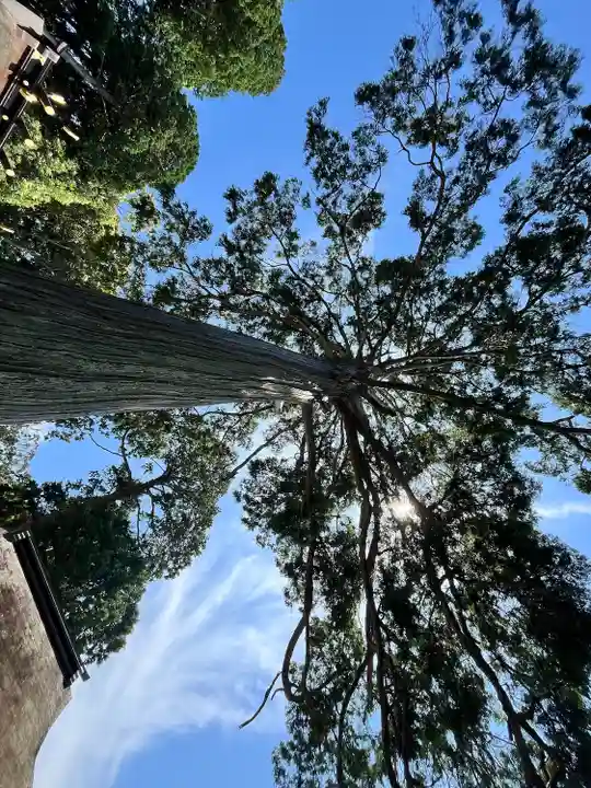 廣八幡宮(和歌山県)