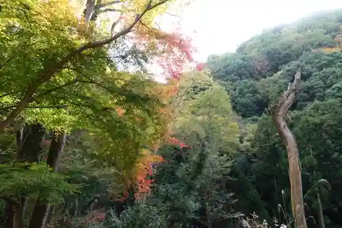 神峯山寺(大阪府)